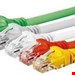 بلدن cat6 وارداتی