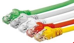 پچ کورد 50متری cat6 نگزنس